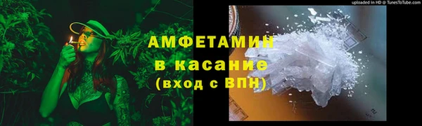 гидра Бронницы