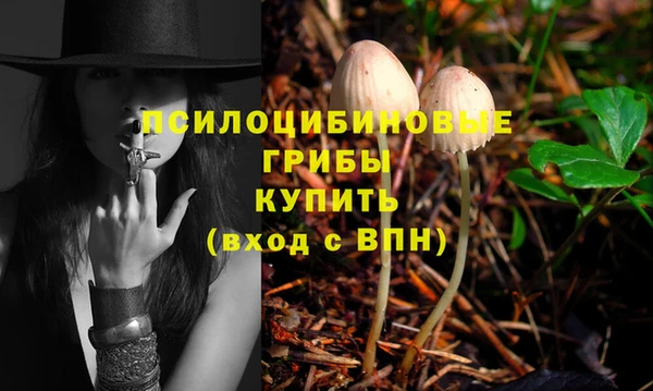 мдма Бородино