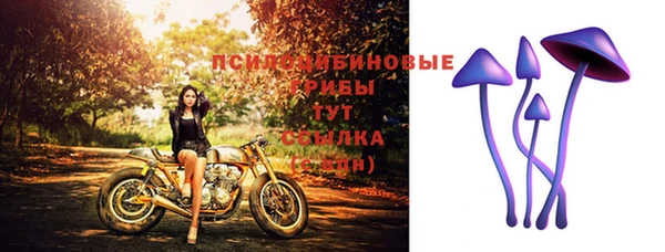 гидра Бронницы